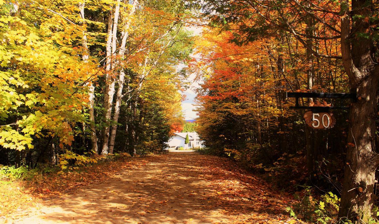 Chalet Riverain Crds Tremblant Lac-Superieur Exteriör bild